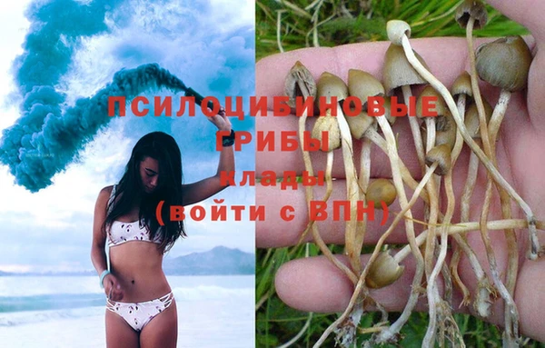 apvp Пересвет