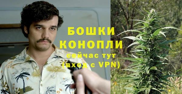 apvp Пересвет