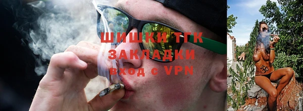 apvp Пересвет