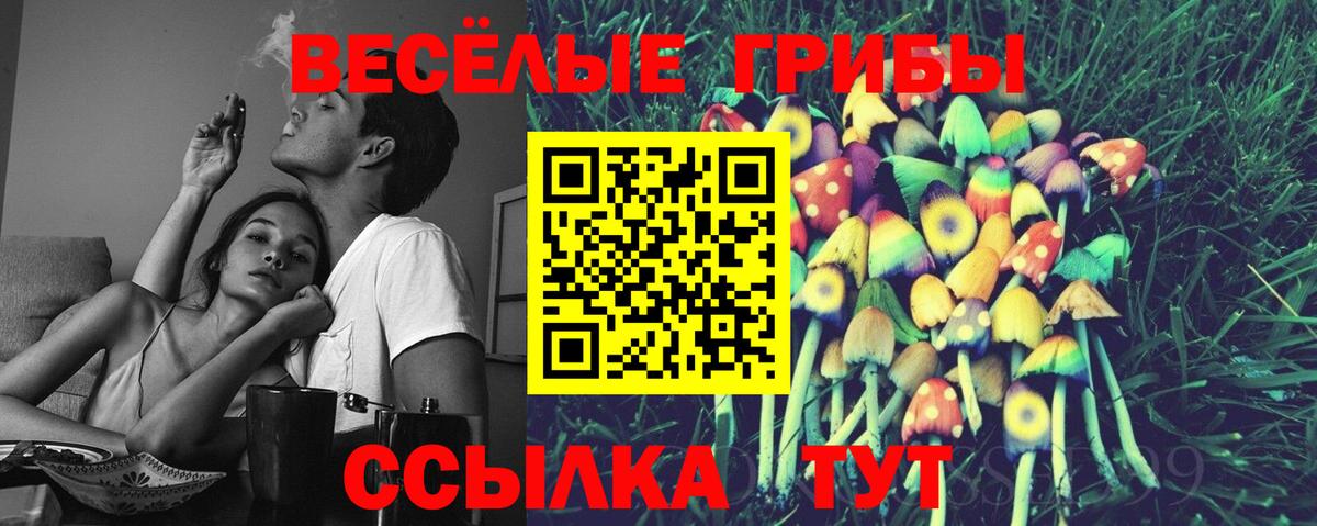 Псилоцибиновые грибы Cubensis Альметьевск