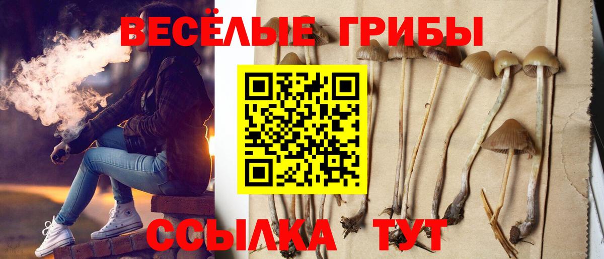 Галлюциногенные грибы Magic Shrooms  даркнет сайт  Альметьевск  Вход с VPN  Псилоцибиновые грибы Magic Shrooms 